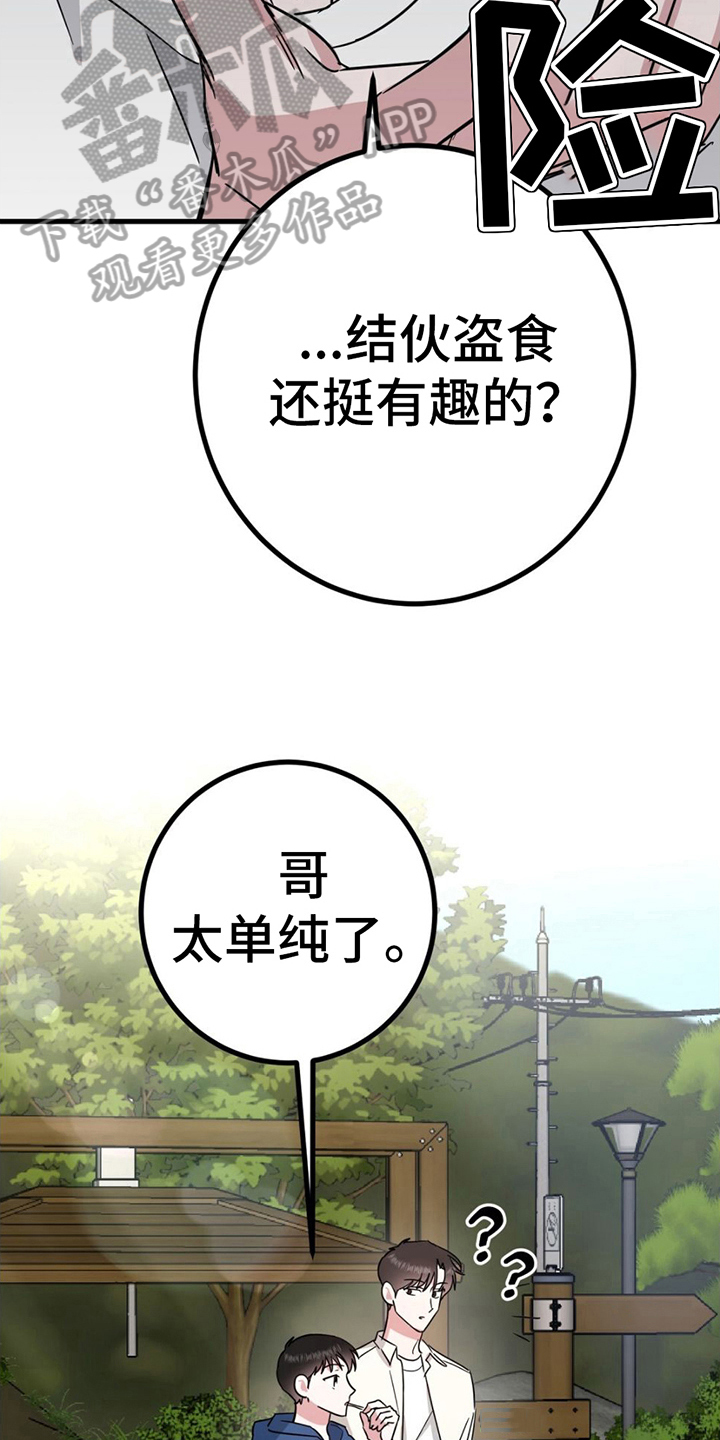 第17章：又被骗了3