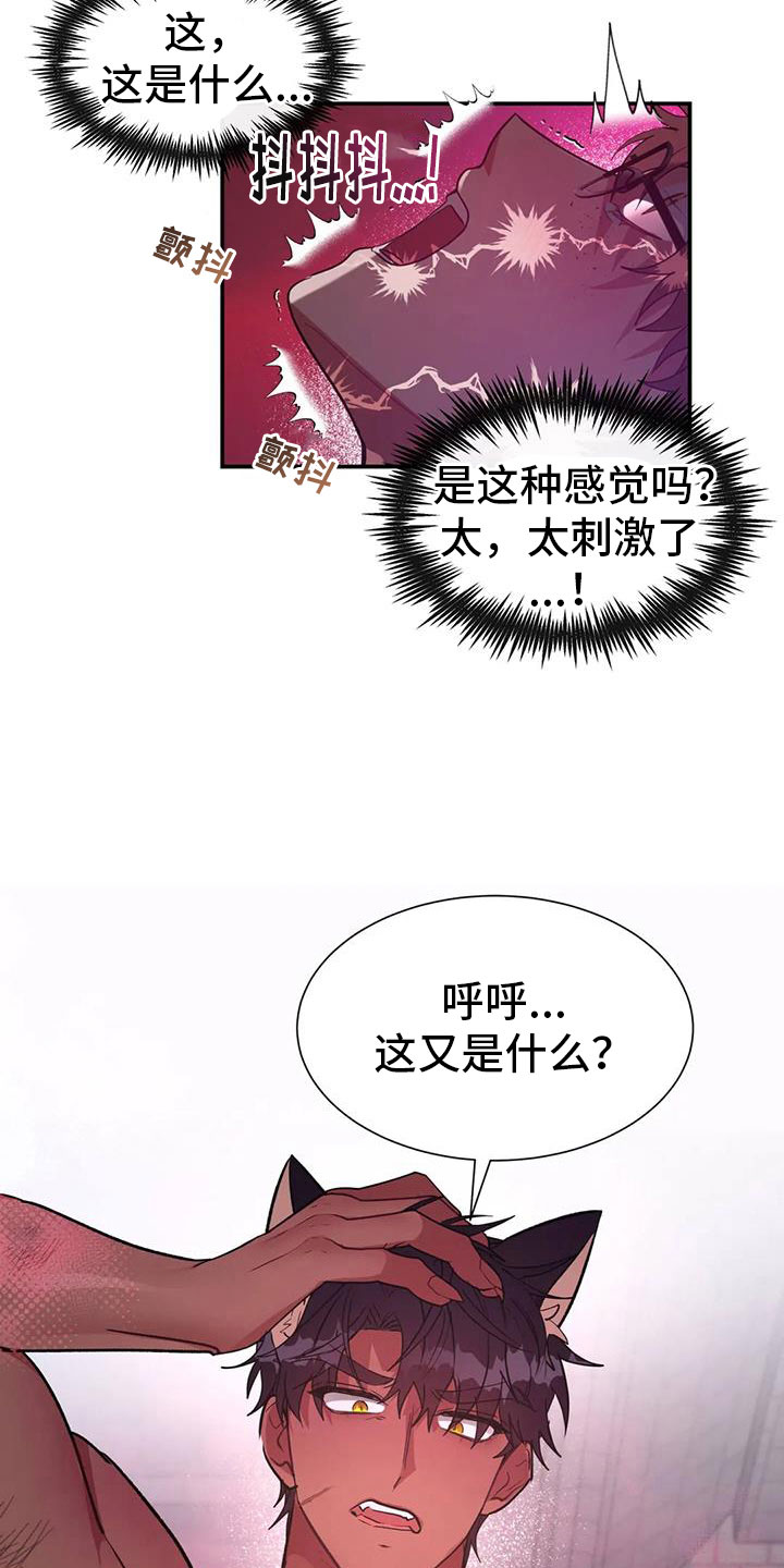 第14章：狼的誓言1