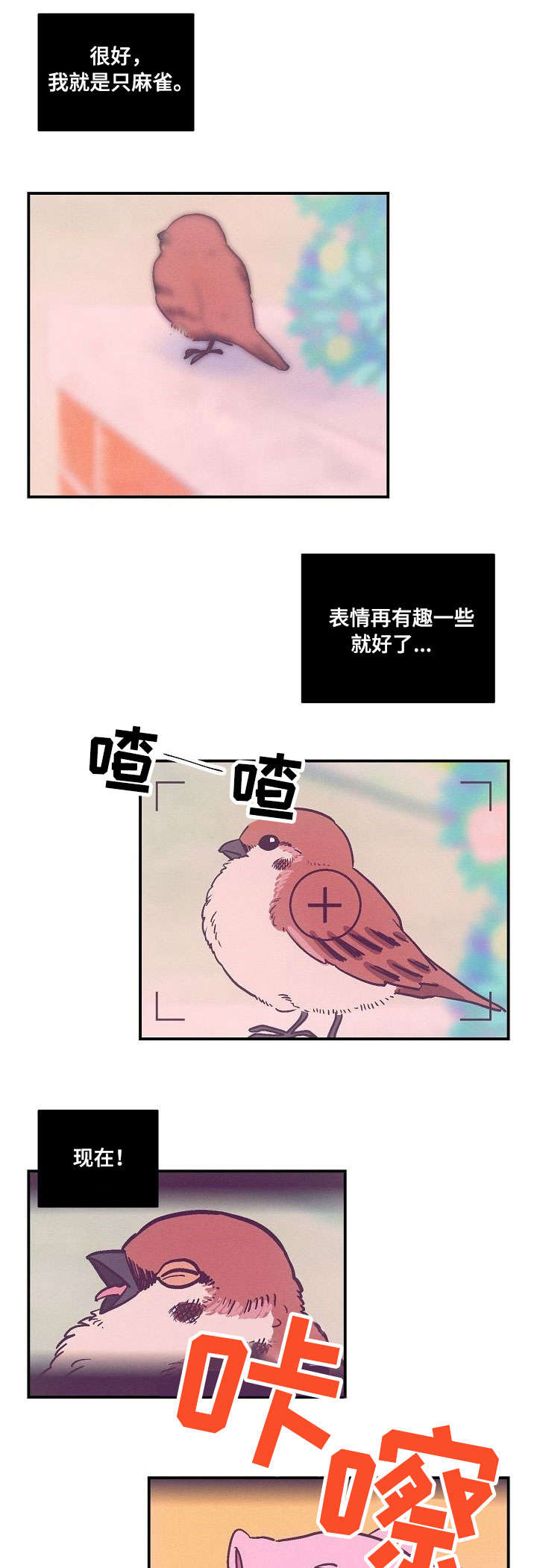 第1章：摄影展0