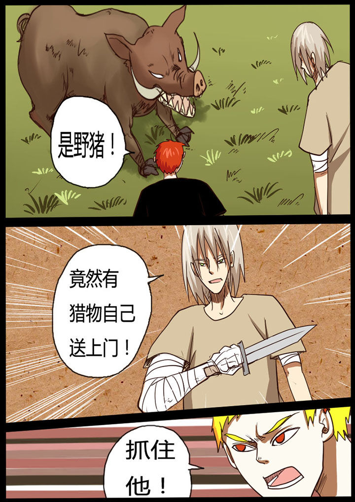 第31章：2