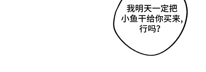 第68章：小鱼干0