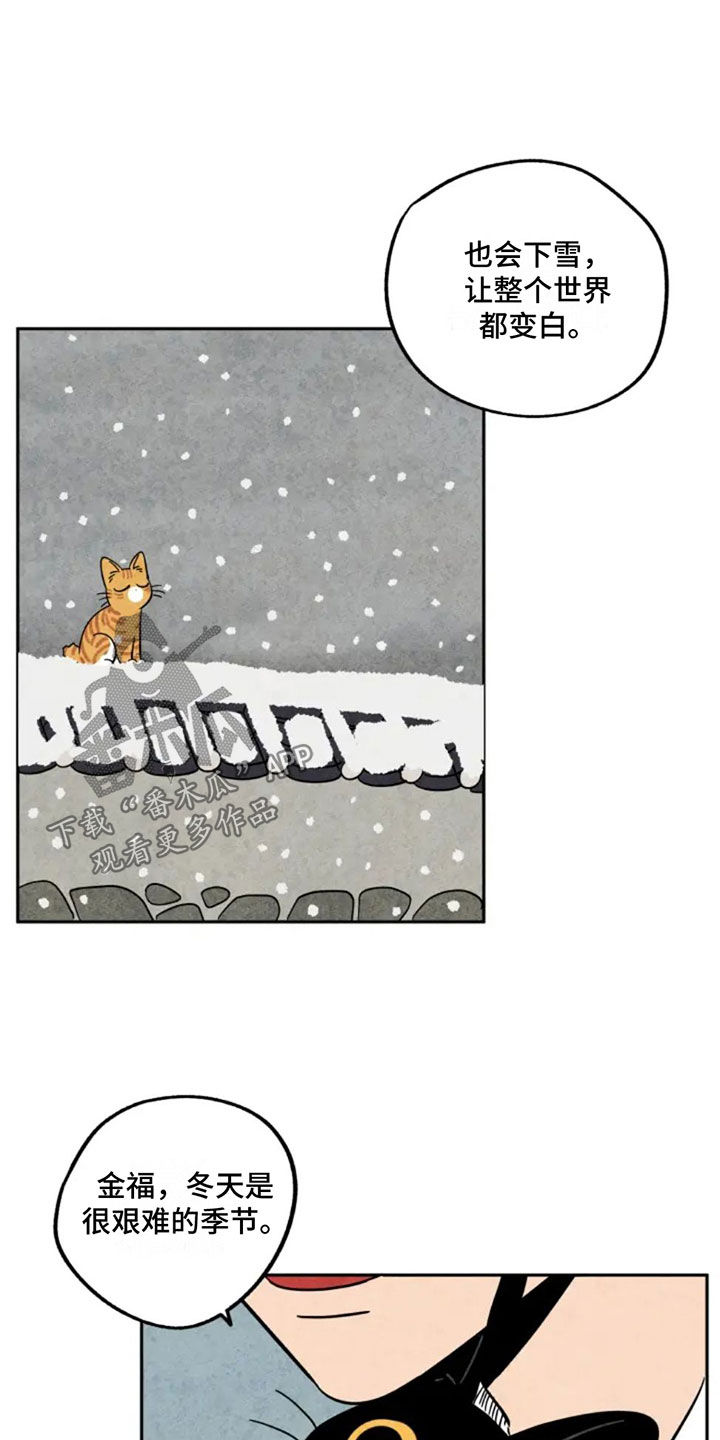 第81章：第一个冬天0