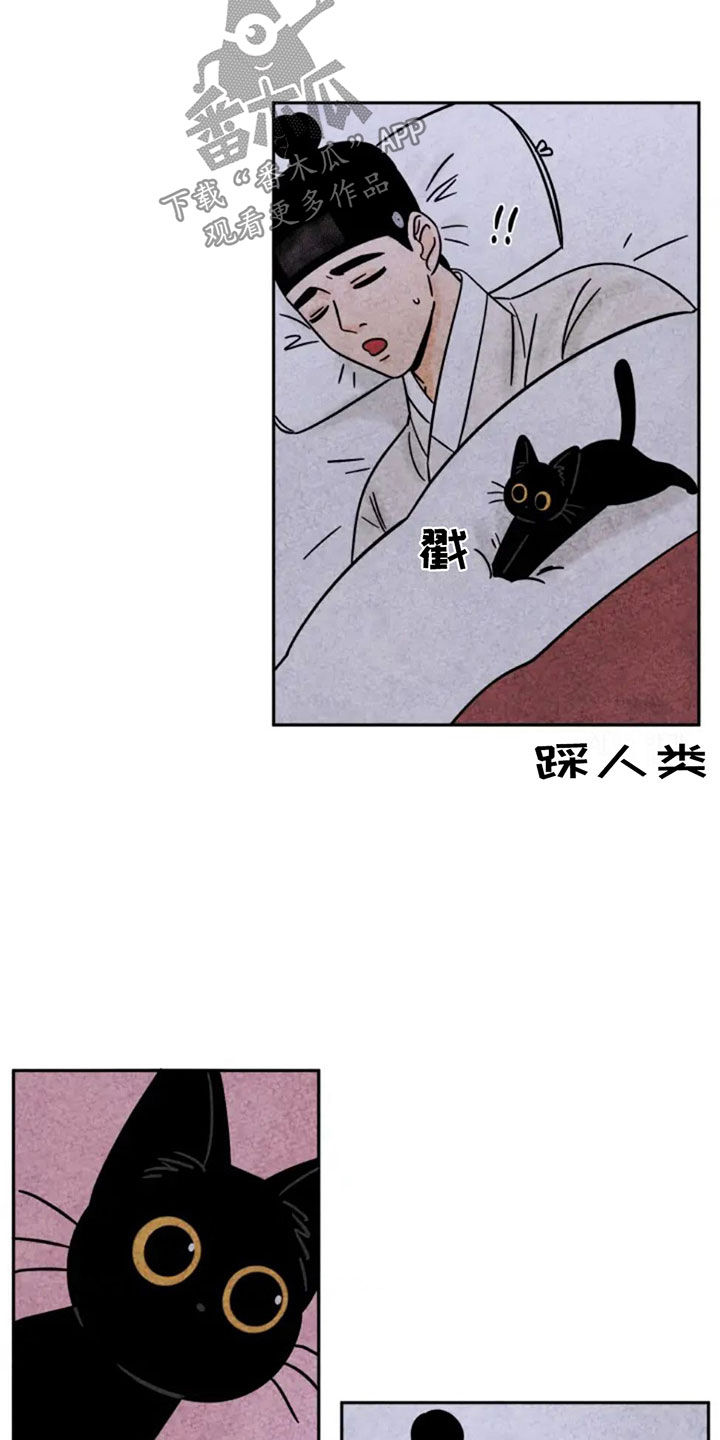 第86章：讨厌老鼠3