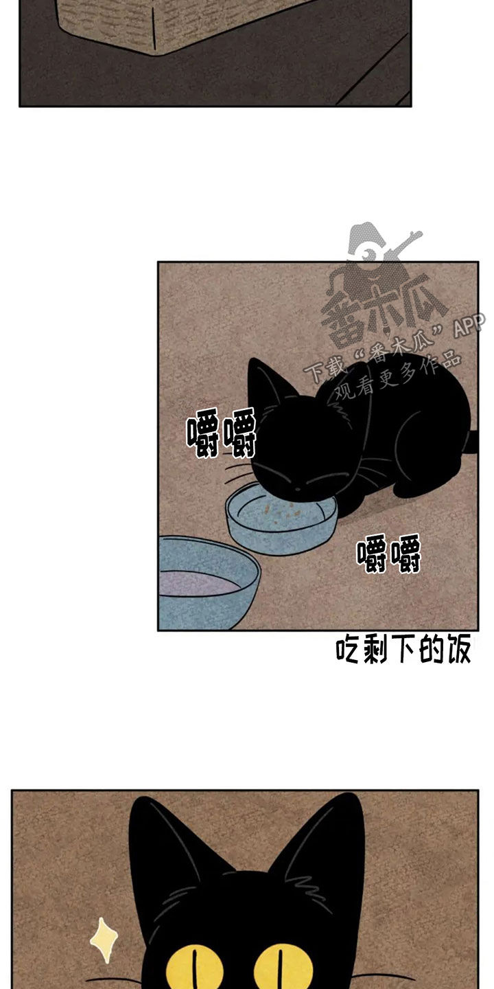 第86章：讨厌老鼠1