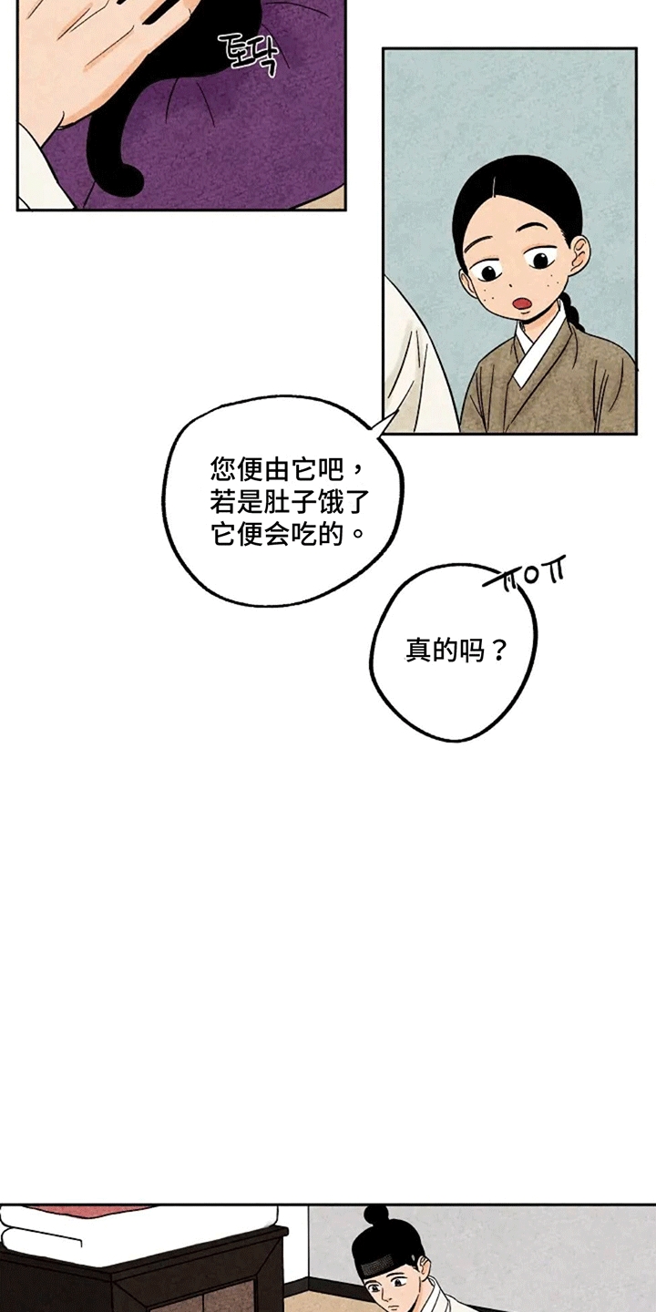 第69章：小小金福3
