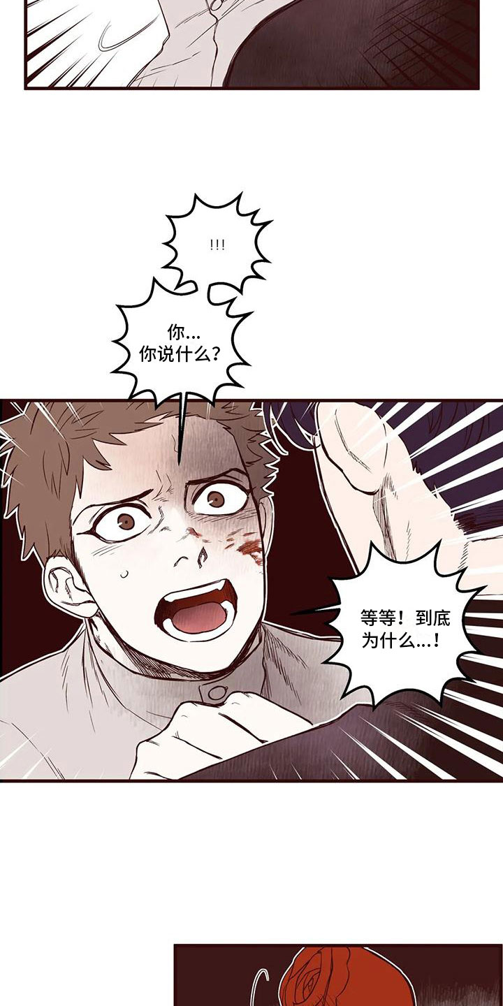 第31章：他的计划3