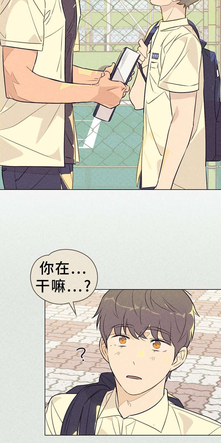 第28章：窃喜2