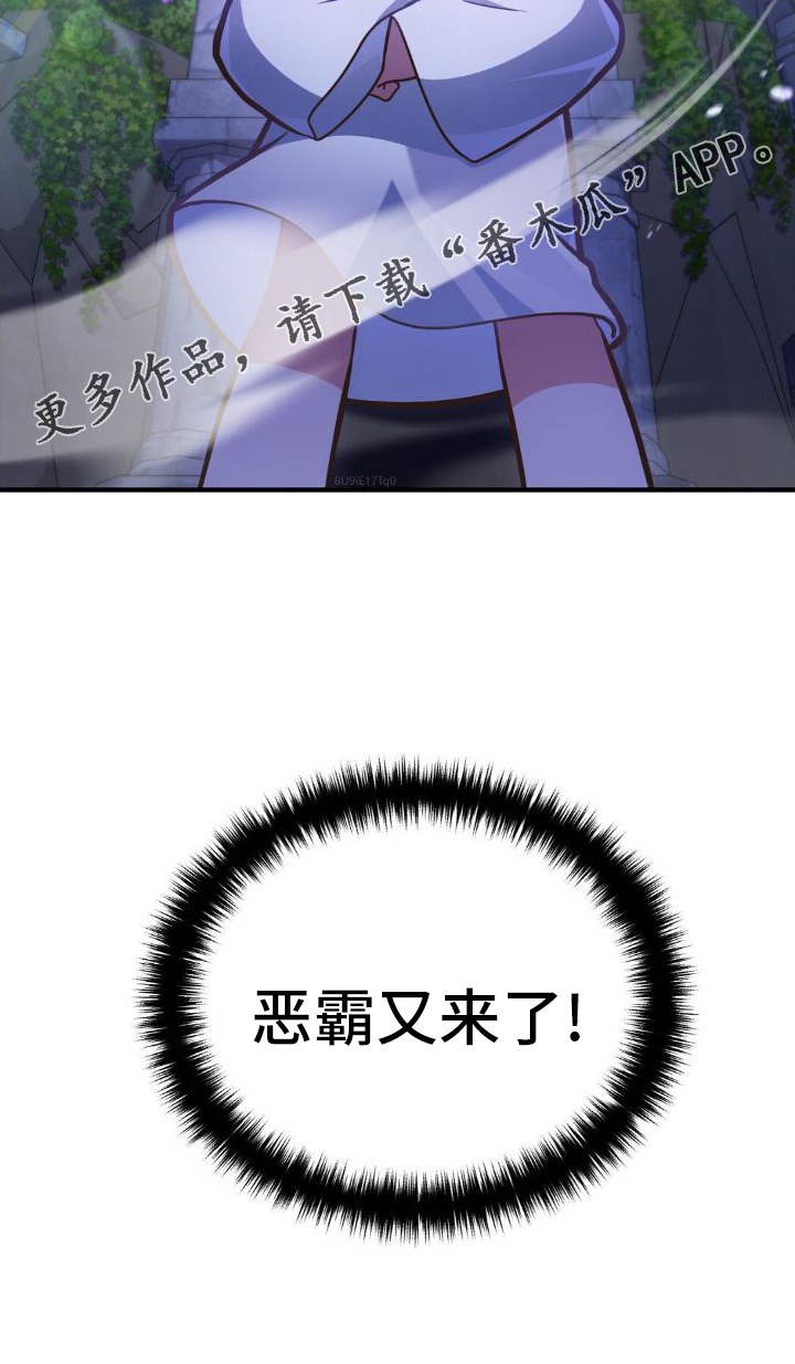 第28章：恶霸4