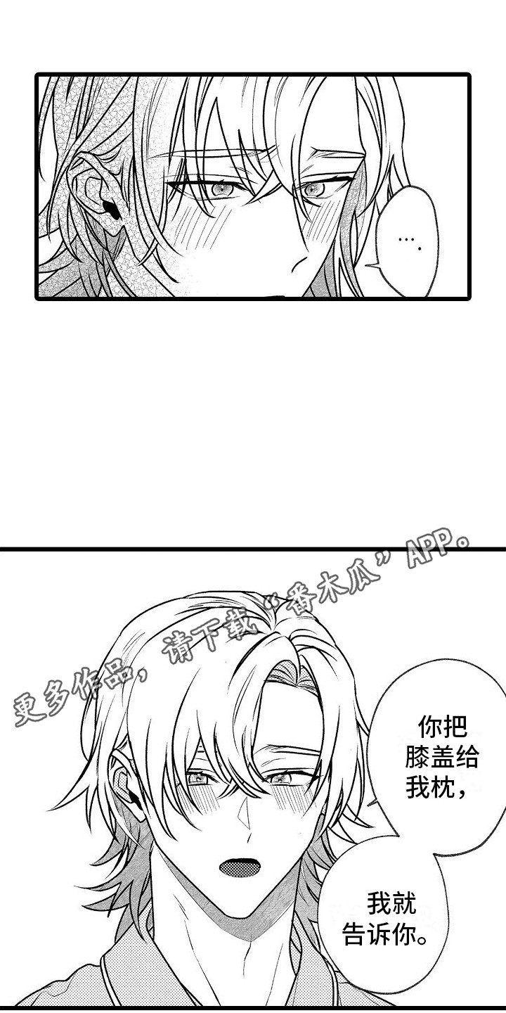 第17章：解释4