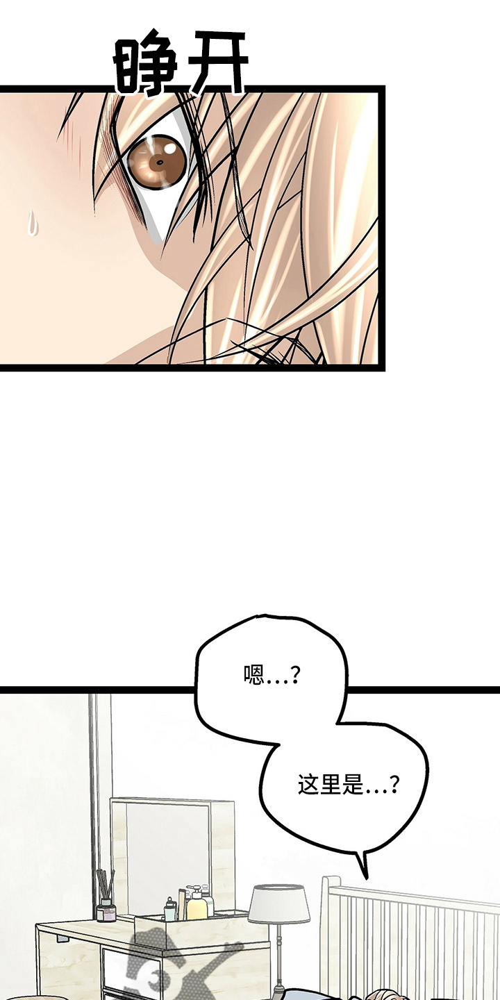 第23章：好帅2