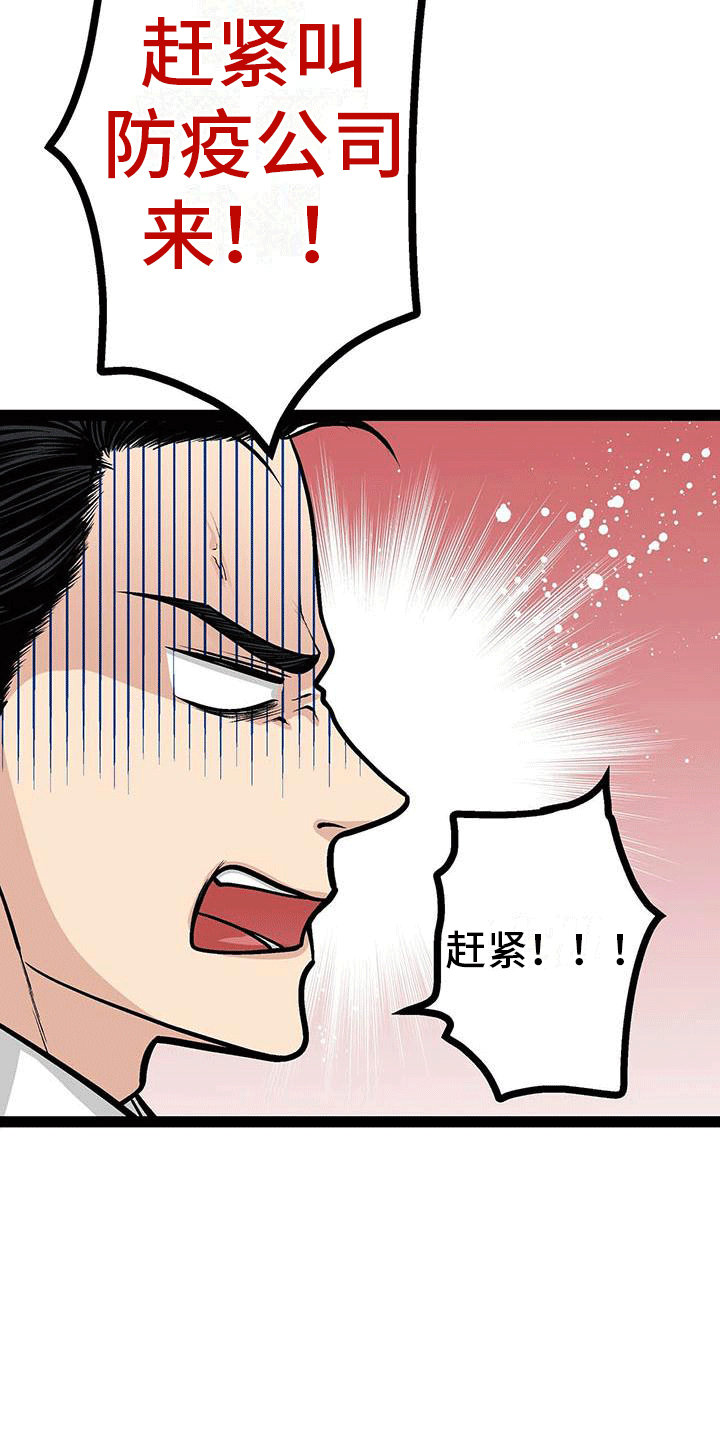 第19章：害怕虫子1