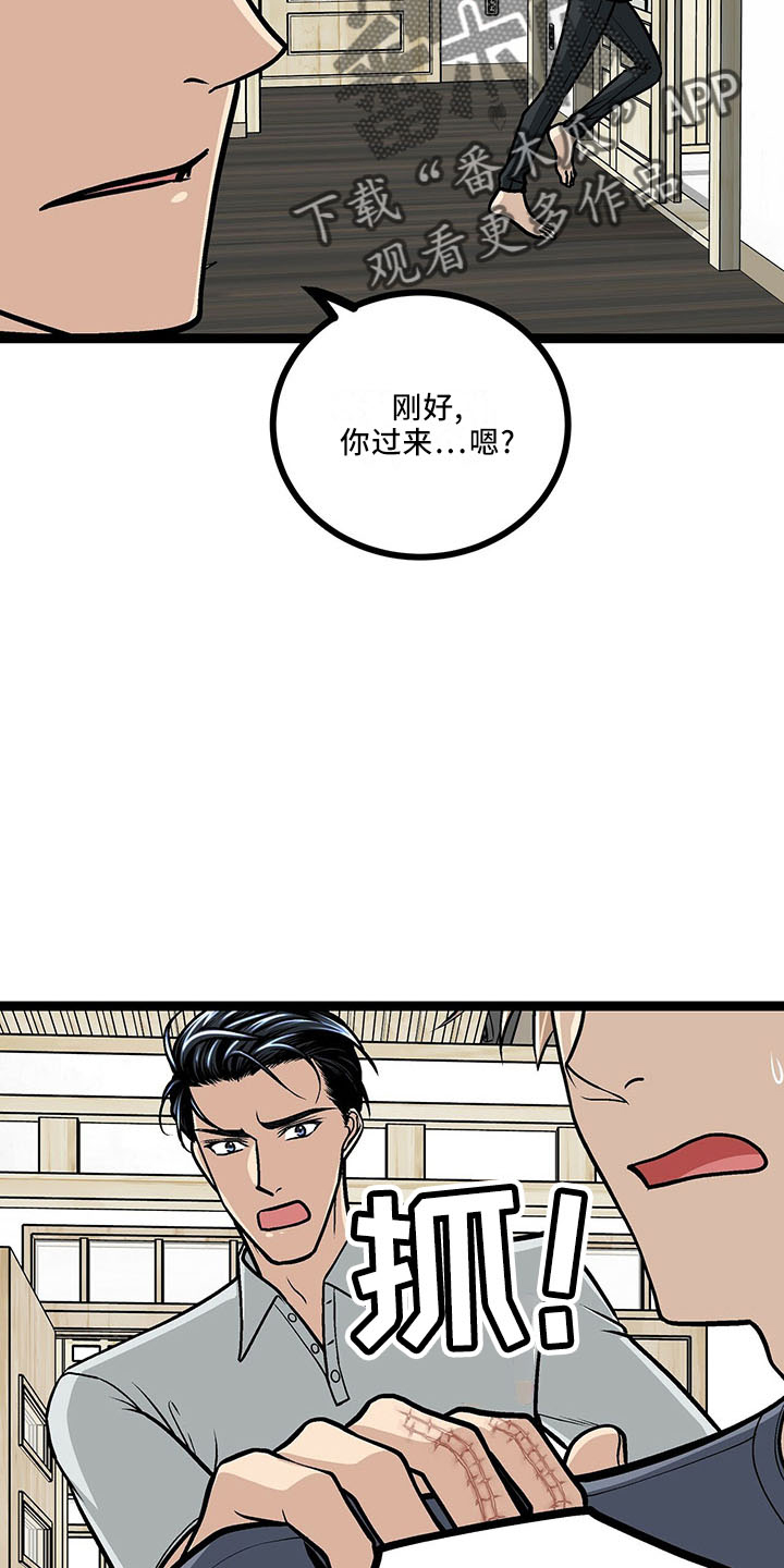 第38章：也 不赖1