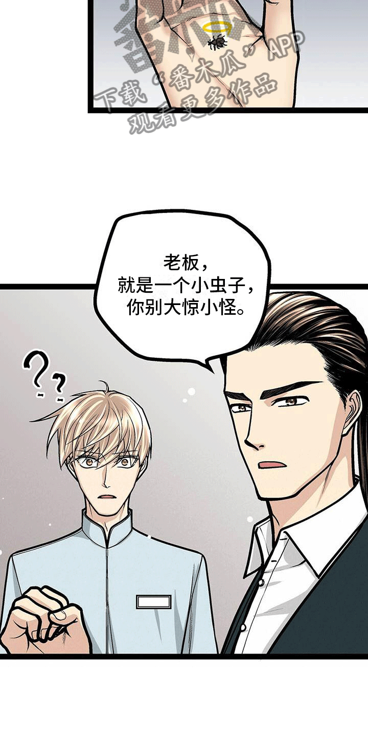 第19章：害怕虫子3