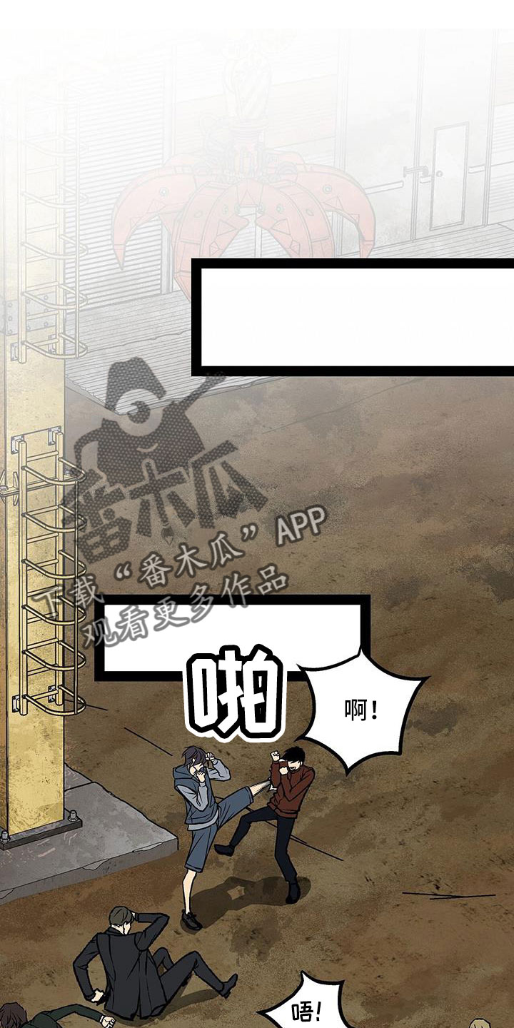 第84章：竟敢打脸1