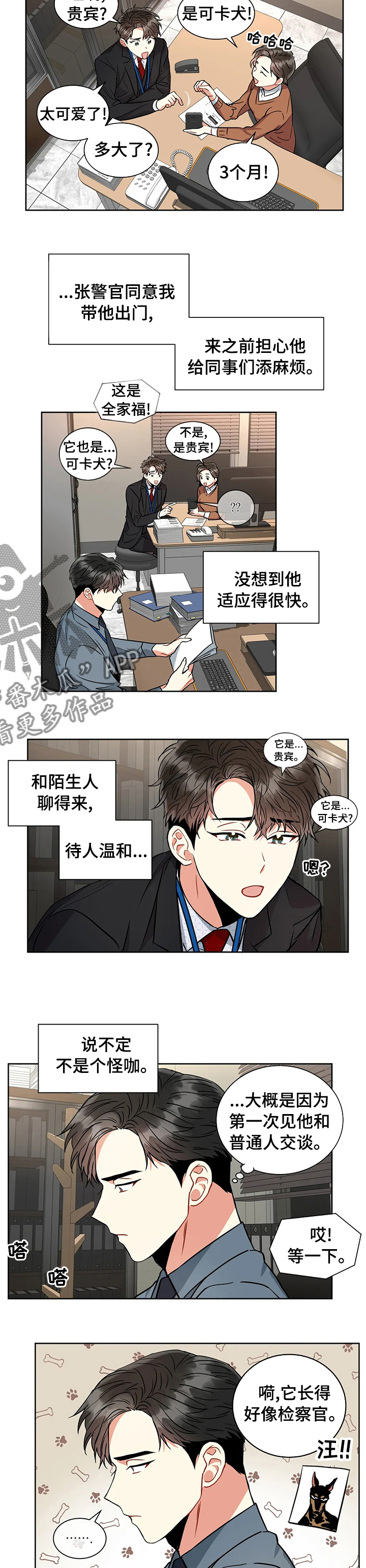 第39章：检测结果3