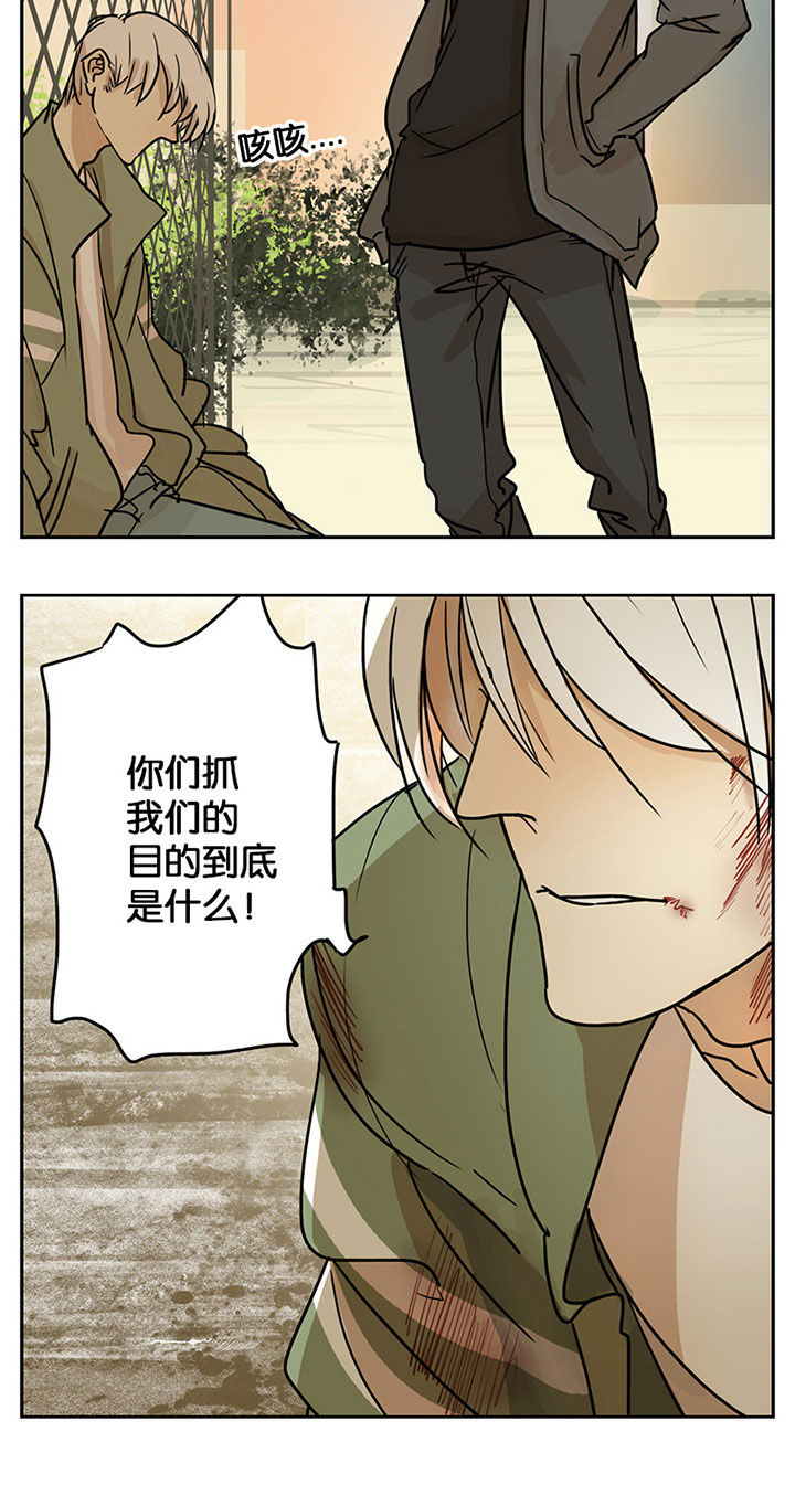 第28章：2