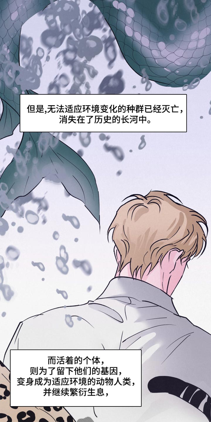 第15章：动物形状1