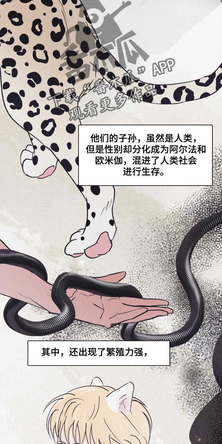 第15章：动物形状2