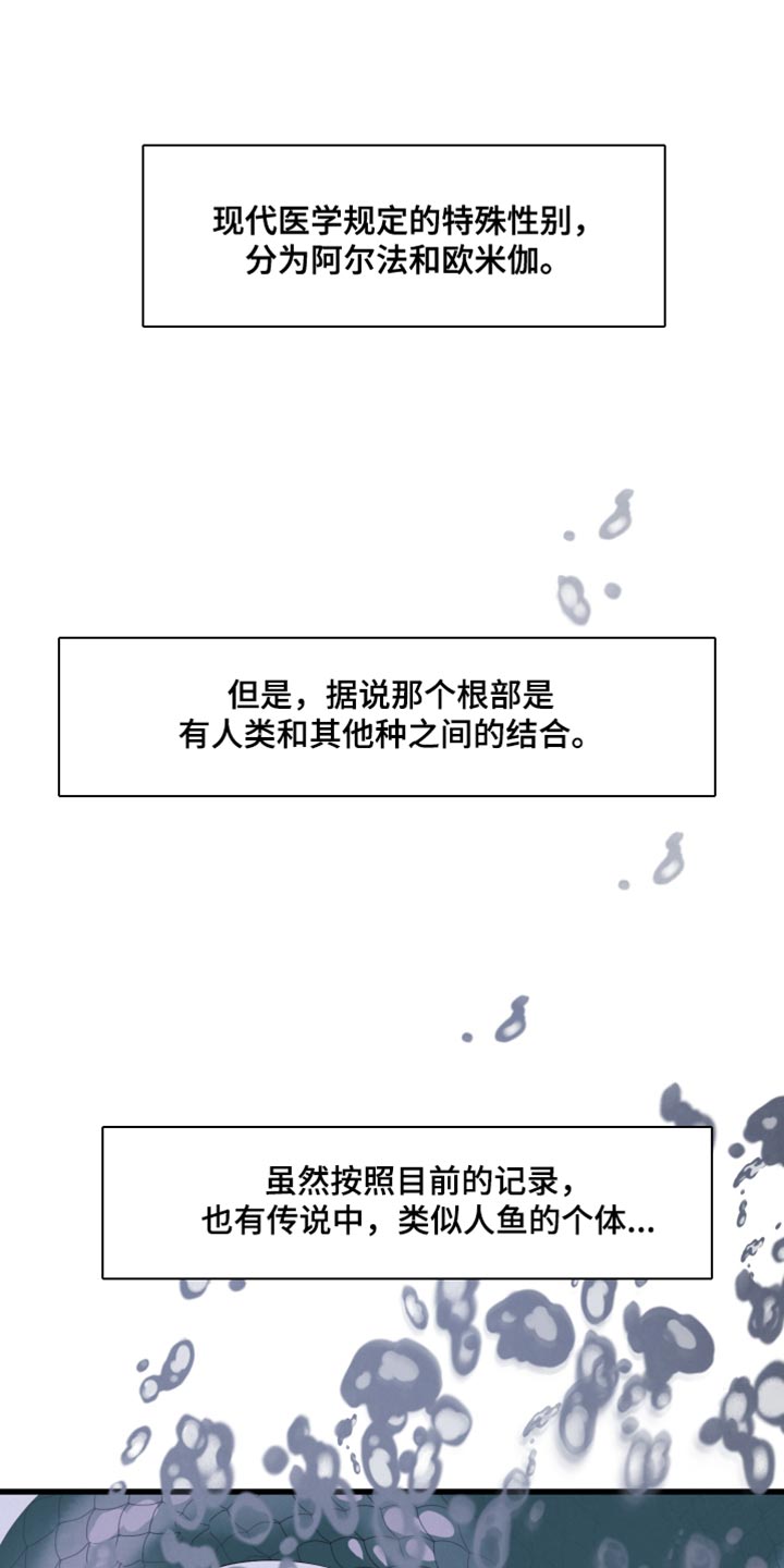 第15章：动物形状0