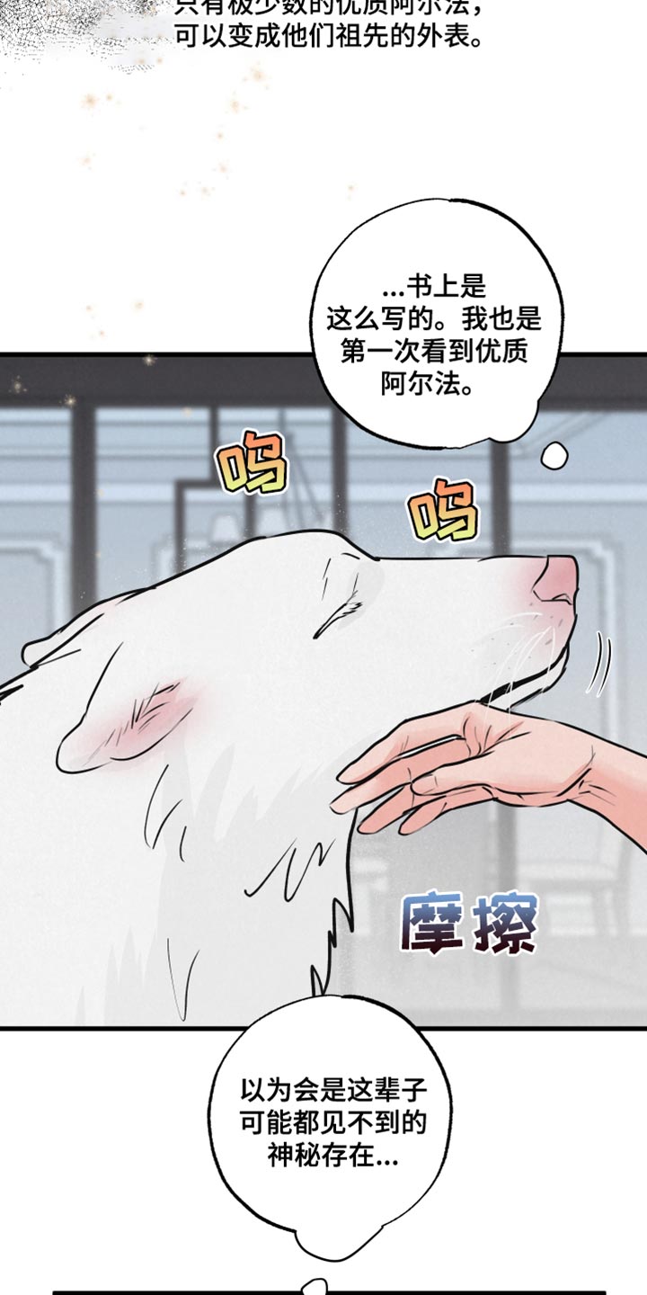 第15章：动物形状4