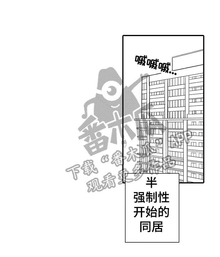 第18章：在意0