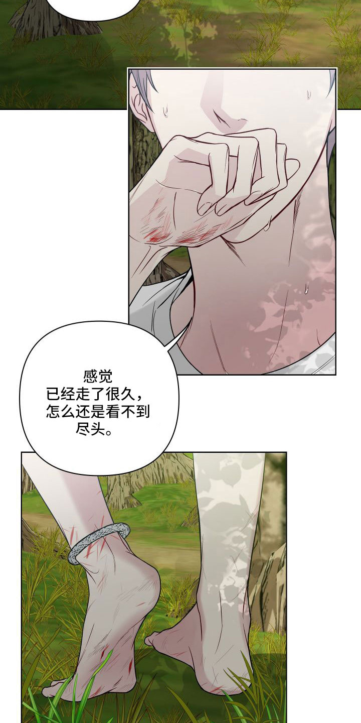 第101章：有消息了1