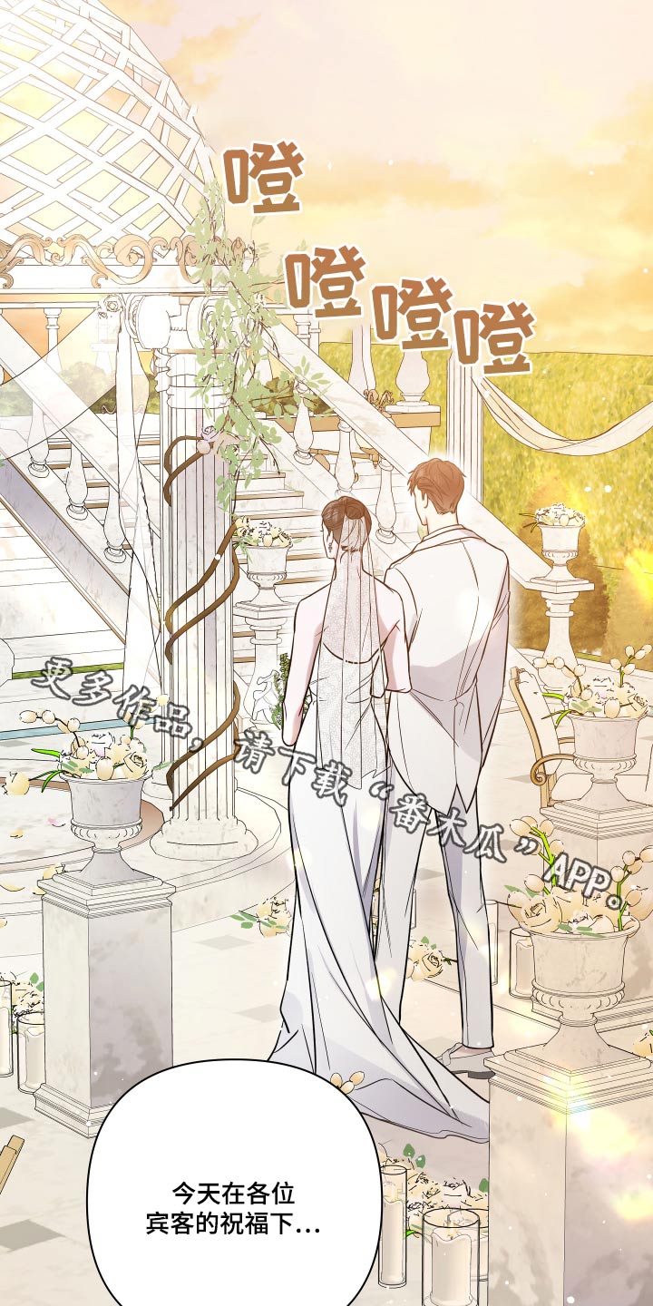 第120章：姐姐结婚0