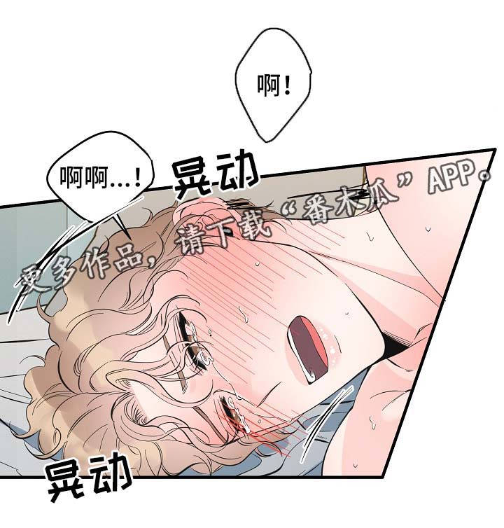 第49章：新感觉4
