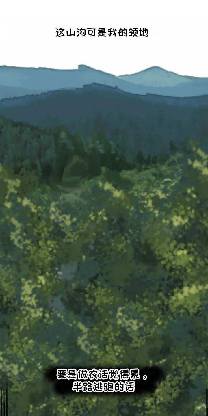 第7章：苹果园0