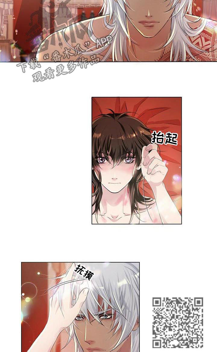 第41章：不要装4