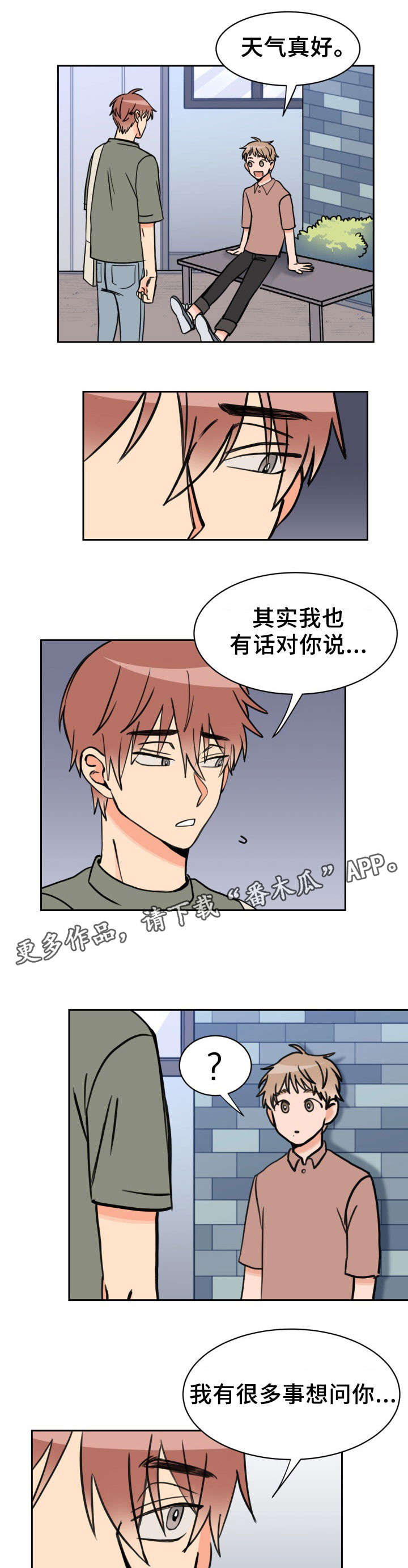 第38章：摊牌2