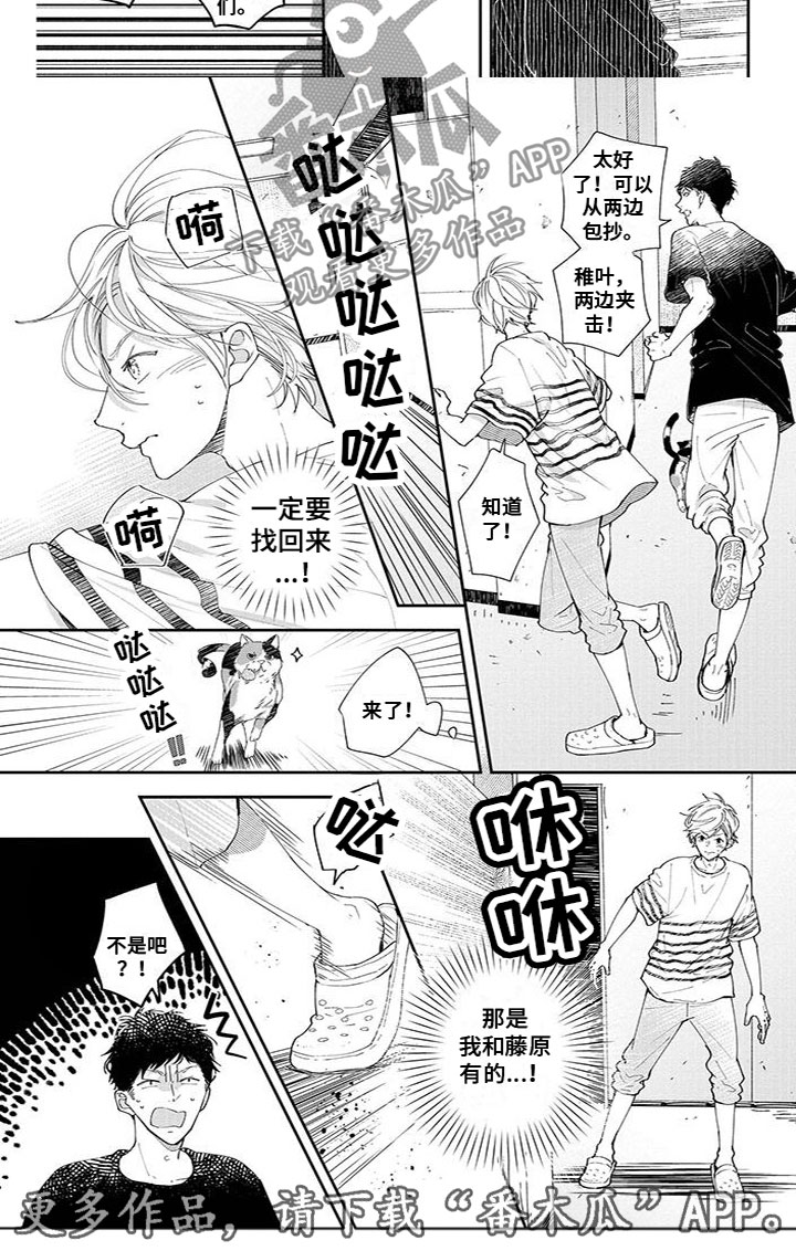 第46章：宝物4