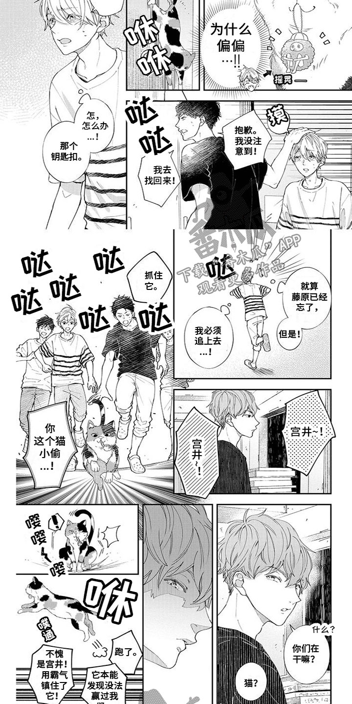 第46章：宝物3