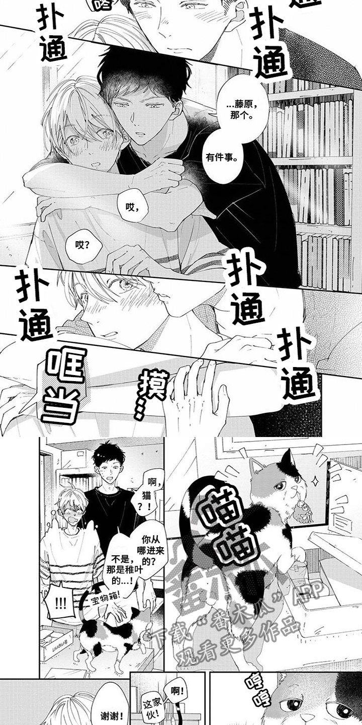 第46章：宝物2