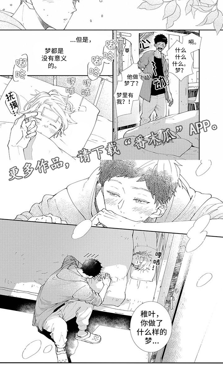 第13章：发烧4
