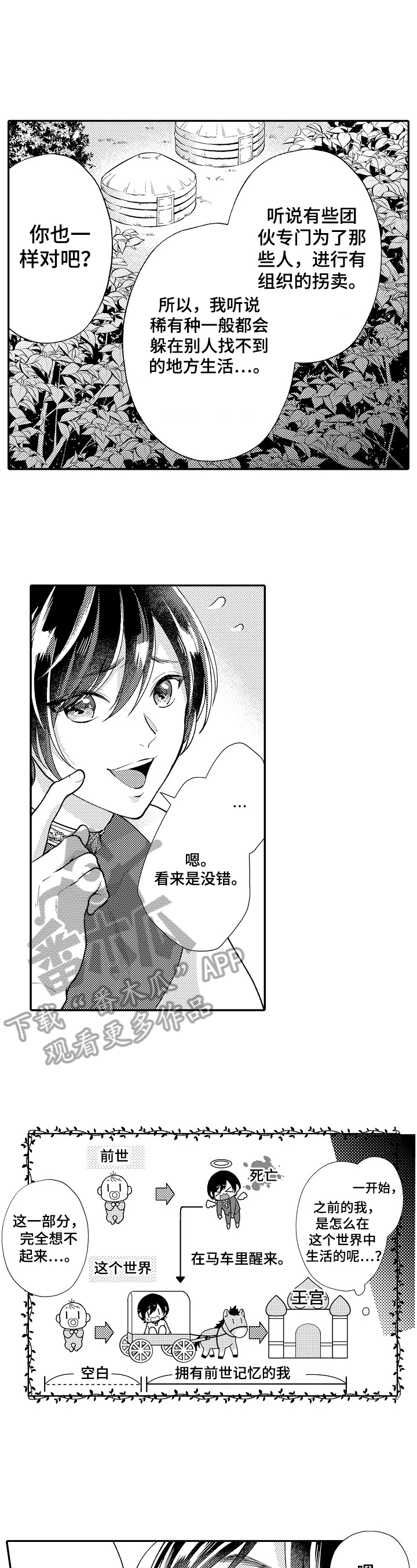 第13章：发现4