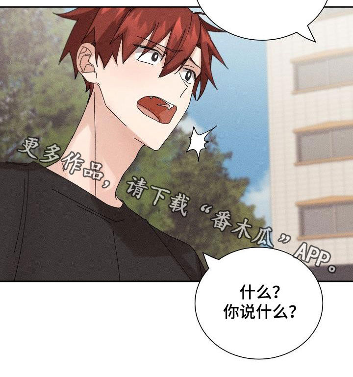 第23章：快递3