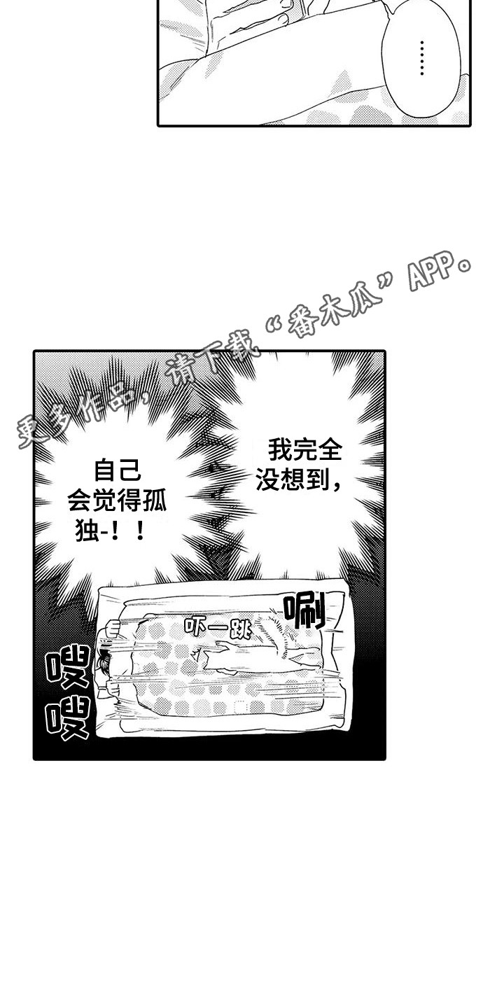 第17章：响声4