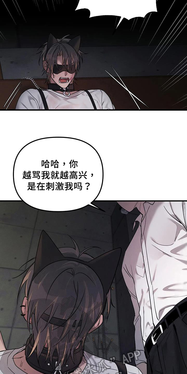 第59章：养狗：有趣4