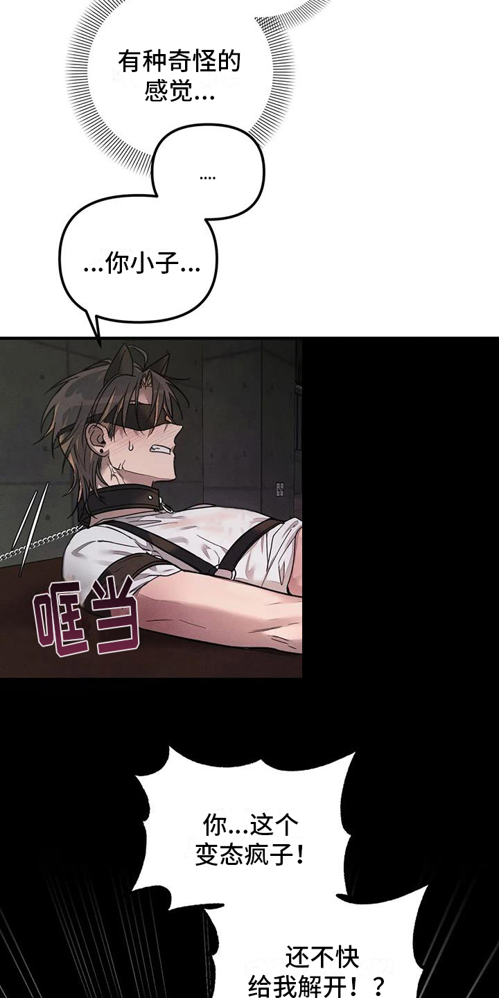 第59章：养狗：有趣3