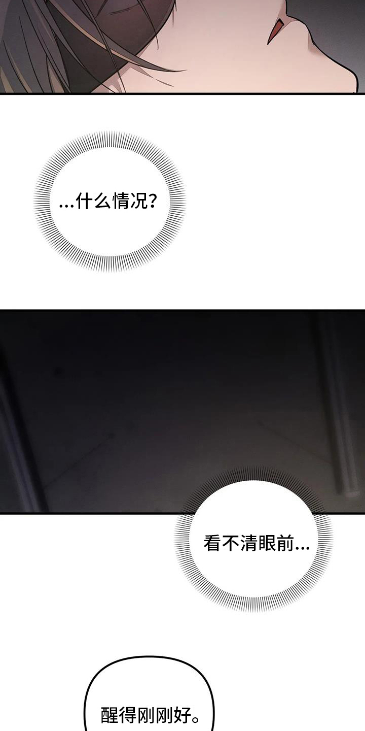 第59章：养狗：有趣1