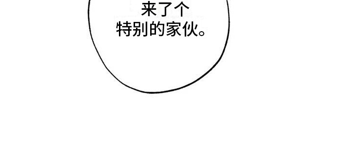 第45章：幸运！管家：见钱眼开2