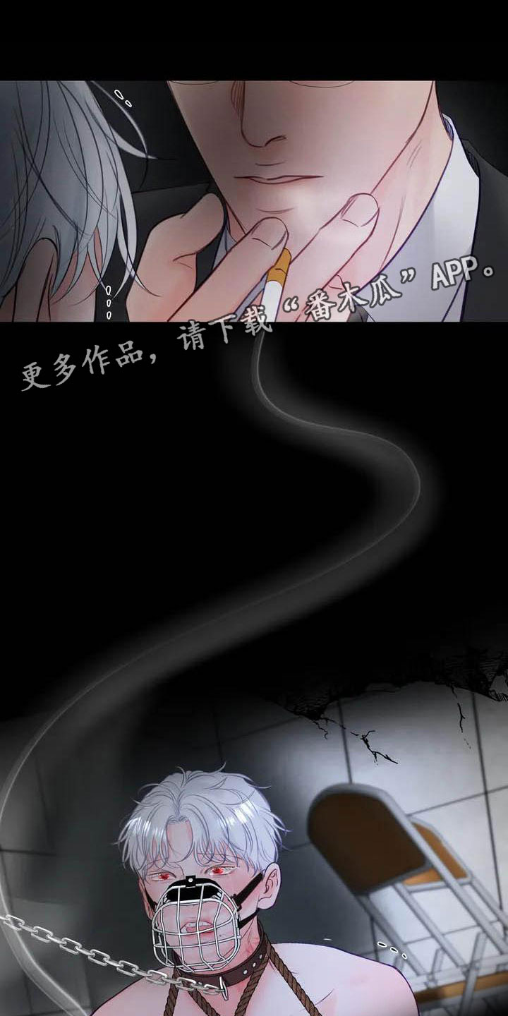 第17章：驯养：家畜0