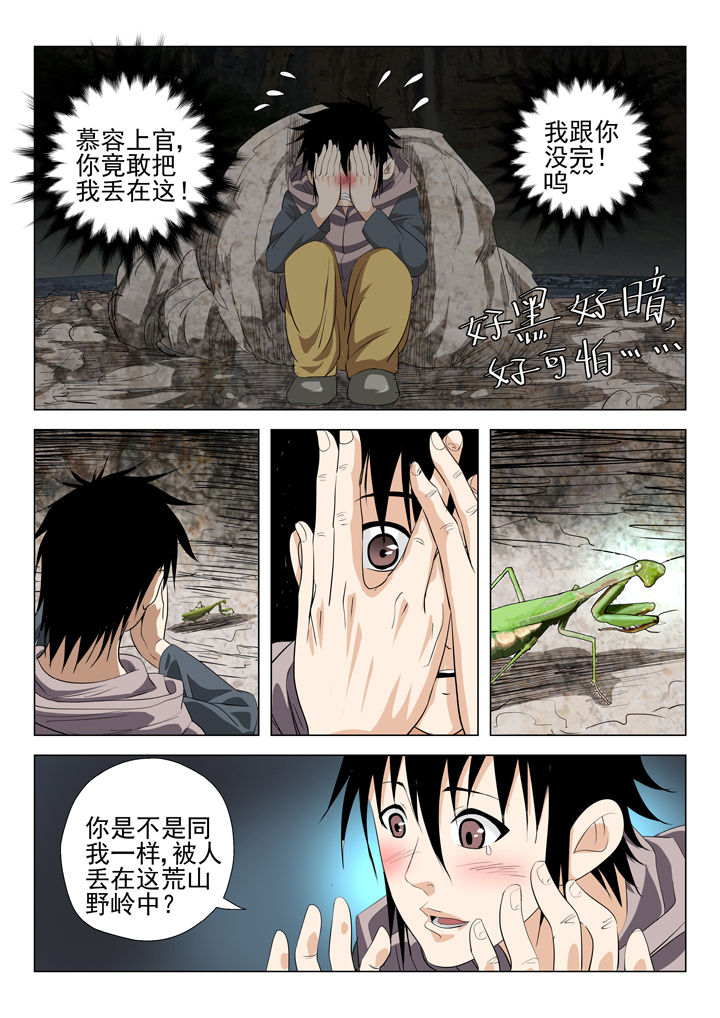 第55章：3
