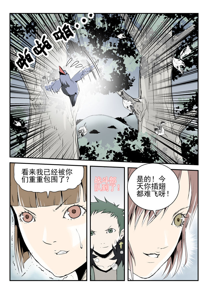 第83章：1