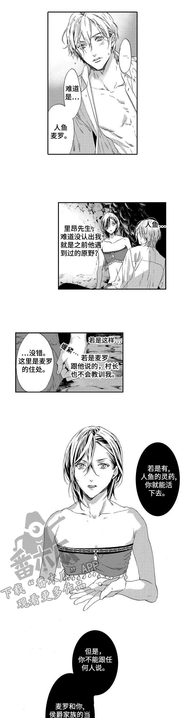 第7章：灵药3