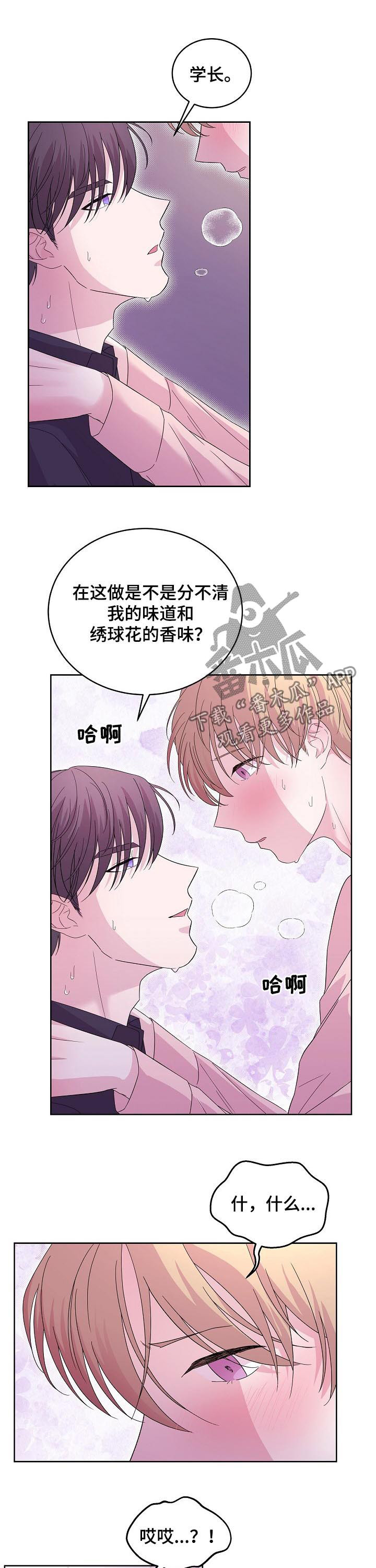 第45章：不是花香3