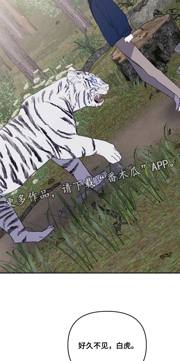 第79章：好久不见0