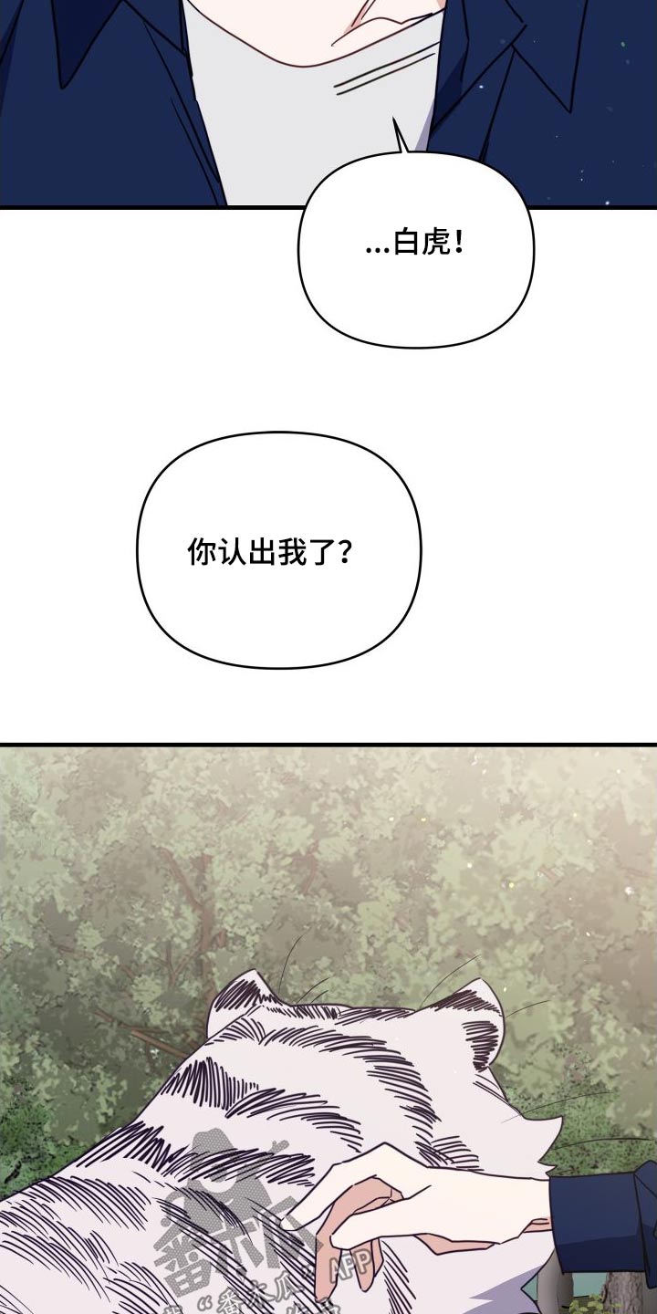 第81章：靠近3