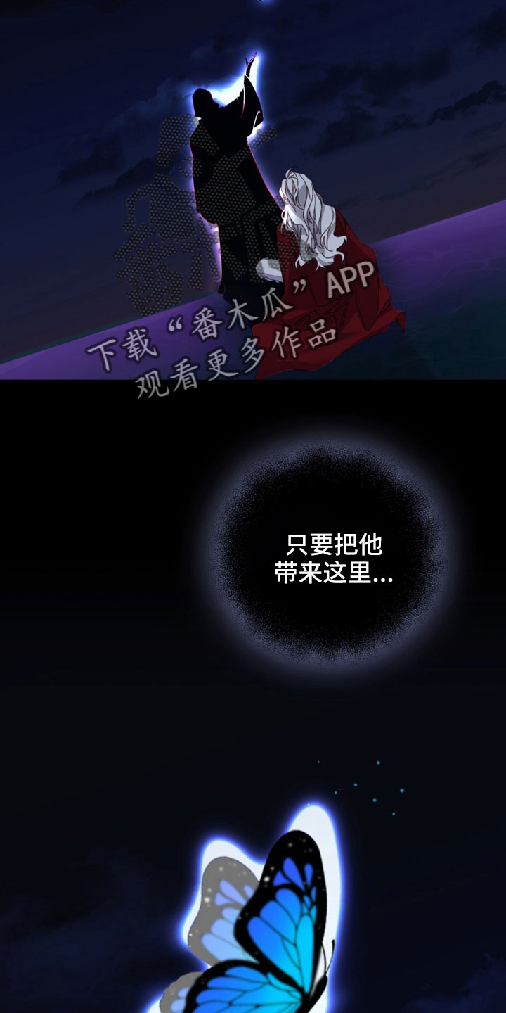 第45章：赌约0